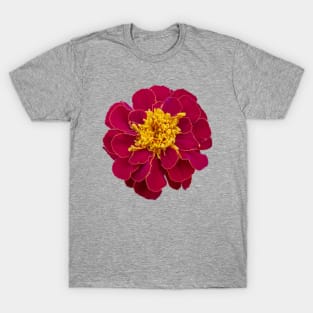 Red Marigold Floral Photo T-Shirt